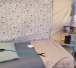 Seminar, empathy, apathy, healthcare